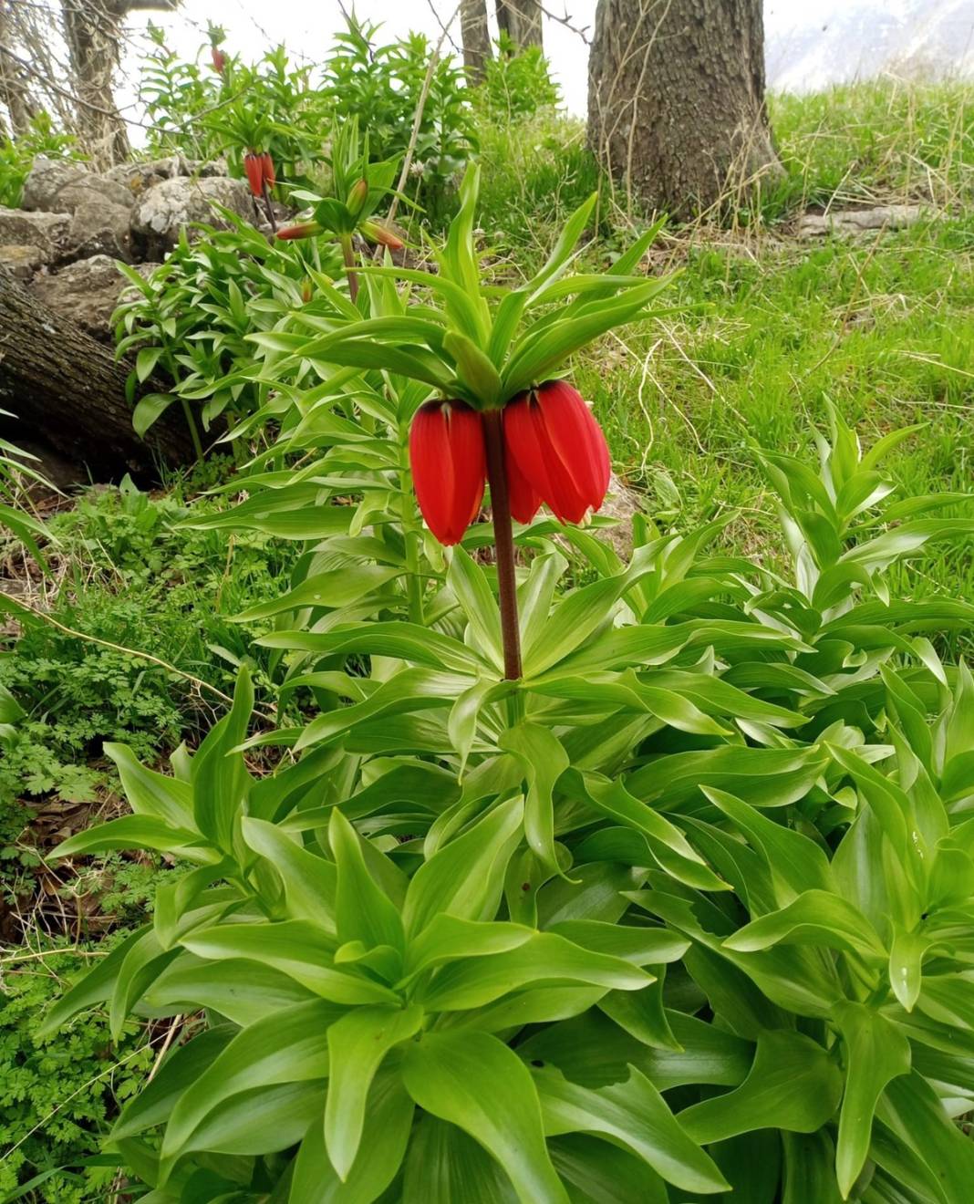 Bu insanlar neye bakıyor? Gece-gündüz nöbet tutuyorlar, ilk kez görenler şaştı kaldı! 55